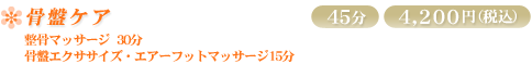 ���ՃP�A�@�����}�b�T�[�W30���@���ՃG�N�T�T�C�Y�E�G�A�[�t�b�g�}�b�T�[�W15���@45��4,200�~�i�ō��j