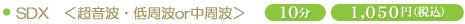 SDX�������g�E����gor�����g��10��1,050�~�i�ō��j