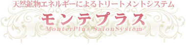 VRzGlM[ɂg[ggVXe@evX@MonterPlus SalonSystem