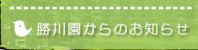 ���쉀����̂��m�点